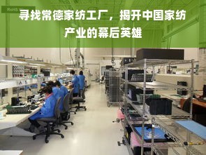 探索常德家紡工廠 揭秘中國家紡產業的幕后英雄與企業網絡技術的力量